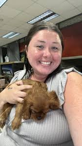 Love seeing sweet rides while I work