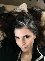 White Streak Dark Hair Natural Gray Hair Gray Hair Positivity Self Acceptance Silver Hair White Long Gray Hair Transition To Gray Hair Natural Gray Hair