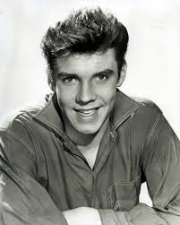 Bad Boy by Marty Wilde