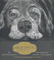 Tim flach is a talented photographer. 12 Beautiful Coffee Table Books For Dog Lovers Hey Djangles