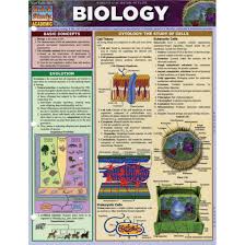 quickstudy bar chart biology