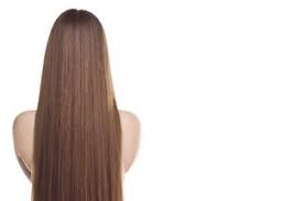 Pelo Lacio Spanish To English Translation Spanishdict