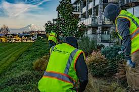 249 likes · 1 talking about this. Commercial Landscape Maintenance Olympia Wa Commercial Landscaping Olympia Lawn Service Nasim And Sons