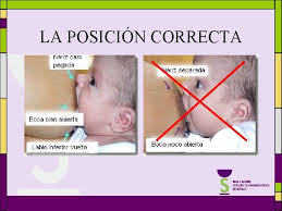 Un especialista en lactancia materna es un experto en amamantamiento. Tu Farmacia A Favor De La Lactancia Materna