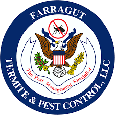 Home spray termite control wooden / fix furniture treatment. Farragut Termite Pest Control Llc Serving West Knoxville