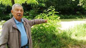 Tous les décès depuis 1970, évolution de l'espérance de vie en france, par département, commune, prénom et nom de famille ! Aimait Bcp Les Lentilles Pourquoi Plante T On Des Lentilles A La Sainte Barbe Perso Cela M A Pris Plus Que Le Double Du Temps Pour Qu Elles Kala Sobota