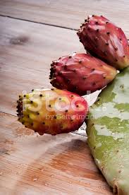 The genus is named after the ancient greek city of opus. Ripe Prickly Pear Or Paddle Cactus And Red Stock Photos Freeimages Com