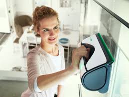 Fensterreiniger Kobold Vg100 Vorwerk Kobold In 2020 Fenster Putzen Haushaltshelfer Fenster