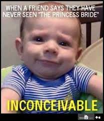 Princess Bride Its Baby Vicinni Funny Pictures Laugh Funny Babies