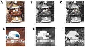 289,355 likes · 67 talking about this. Different Tongue Same Information 17 Language Study Reveals How We Communicate Information At A Similar Rate Technology Networks