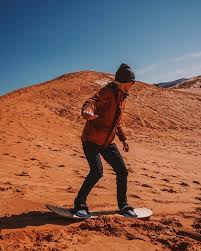 Animals such as sand snakes, lizards, and rodents can live in coastal sand dunes, along with insects of all types. Sandboarding Down The Dunes Of Coral Pink Sand Dunes State Park