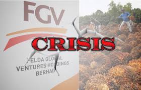 Delima oil products sdn bhd. Two Fgv Directors Logistics Chief Take Over From Suspended President Ceo The Third Force