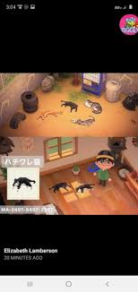 Pin By Astrid Halpin On Ac Qr Codes In 2020 Animal Crossing Animal Crossing 3ds New Animal Crossing
