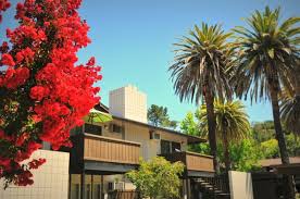 Country living but only minutes from downtown walnut creek. Camelback South Apartments 2089 Camel Ln Walnut Creek Ca Real Estate Agents Mapquest