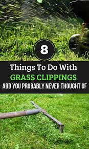 8 Things To Do With Grass Clippings You Probably Never Thought Of Grass Clippings Grass Garden Mulch
