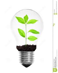 Light Bulb With Plant Stock Photo 29415370 Megapixl