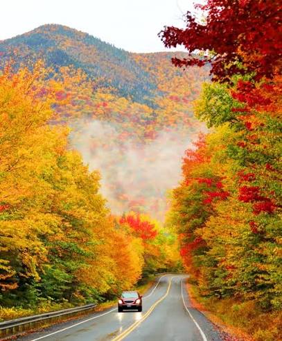 Leaf Peeping