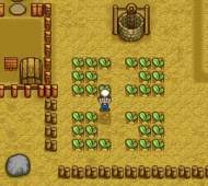 Download harvest moon pc app as it has always been about building a successful life. Harvest Moon Pc Download