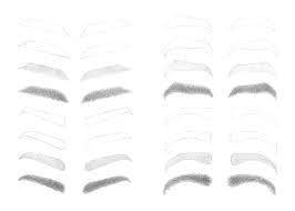 The eyebrows are an area of thick, delicate hairs above the eye that follows the shape of the lower margin of the brow ridges of some mammals. How To Draw Eyebrows Step By Step Easydrawingtips
