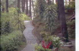 Tts pantai cemara sewu level 28. 205m4d1 Tts Santai Pantai Cemara Sewu Level 21