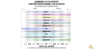 Comprendre Le Ph Et Ses Effets Sur Les Plantes De Cannabis Rqs Blog