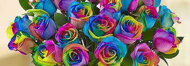 What do you need to know about rainbow roses? 12 Of The Best Same Day Online Flower Delivery Services