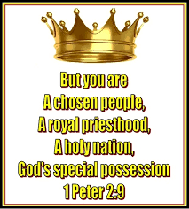 But you are a chosen race, a royal priesthood, a holy nation, a people for his own possession, that you may proclaim the excellencies of him who called you out of darkness into his marvelous light. 1 Peter 2 9 Mission Venture Ministries