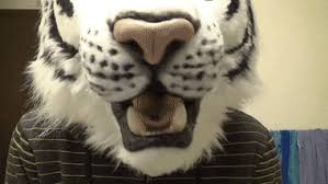 Priyanka chopra, rajkummar rao, adarsh gourav, mahesh manjrekar, perrie kapernaros, swaroop. Top 30 Tiger Mask Gifs Find The Best Gif On Gfycat
