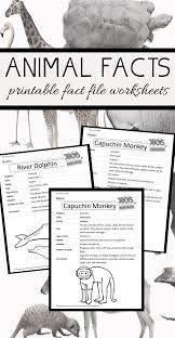 Some animals use the sun and the stars to figure out the correct direction. Animal Fact Sheets For Kids 3 Boys And A Dog