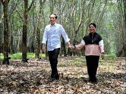 Udaranya yang dingin dan suasana yang teduh. Pose Mesra Jokowi Dan Iriana Di Hutan Karet Banyuasin Bisa Jadi Ide Foto Prewedding Lifestyle Liputan6 Com