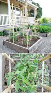Build your own cages are designed for grow your own gardeners who want a flexible fruit and vegetable crop protection system that comes in on budget. 15 Diy Plant Supports And Cages You Need In Your Summer Garden Diy Crafts