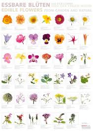 Essbare Bluten Essbare Pflanzen Essbare Blumen Essbare Bluten