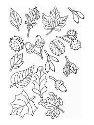 Collection by sonja jensen king • last updated 9 weeks ago. Kids N Fun Com 19 Coloring Pages Of Trees And Leaves