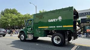 Image result for Tree Green 2018 Fleet