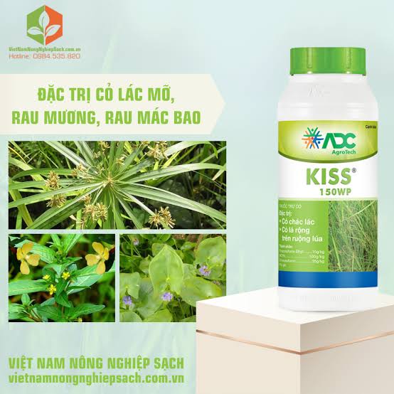 Kiss 150WP