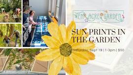Sun Prints in the Garden — The Ten Acre Garden