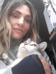 Introducing my senior fur babies: Breesie, Tiger, and Saint