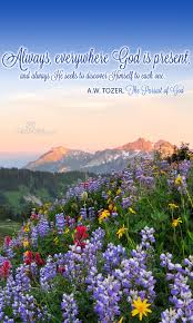 Beautiful nature phone wallpaper featuring favorite scripture verses. Bible Verse Wallpaper For Android Natural Landscape Nature Flower Wildflower Morning 520656 Wallpaperuse