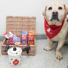 Just like human blood banks. Stumpy The Labrador Tops The Canine Charts For Dog Blood Donors And Has Saved More Than 100 Lives