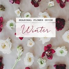 See more ideas about wedding flowers, bouquet, wedding bouquets. Seasonal Flower Guide Winter Green Wedding Shoes