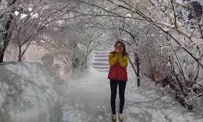 Review Snow World Bekasi Wahana Fasilitas Tiket Masuk 2019 102,764 likes · 490 talking about this · 134,035 were here. review snow world bekasi wahana
