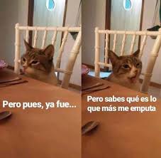 Sigo aquí pensando en qué. Ice On Twitter