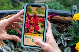 It is focused on the german flora (2700 species) but the team will extend the species list in the next weeks (they will also adapt the species profile) and make the identification workflow easier. Plant Id App Product Review Gardenstead