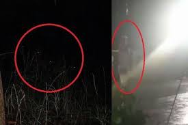 10 Gambar Pocong Yang Paling Seram Waze Bawa Ke Ladang Kelapa Sawit Kedai Makan Tiada Yang Download Asal Usul Hantu Poco In 2020 Mythical Monsters Neon Signs Neon
