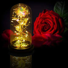 Ferns n petals provides affordable flower delivery service in canada. 24k Colorful Rose Glass Dome Artificial Flower Unique Gifts Valentine S Day Thanksgiving Mother S Day Girl S Birthday Best Gifts For Girlfriend Wife Women China 24k Gold Roses And 24k Rose Price