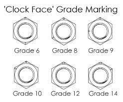 Nut Grades Chart 2019