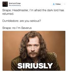 Thanks to alan rickman's ice cold portrayal of the stony severus snape, hogwarts'. 100 Harry Potter Memes That Will Always Make You Laugh