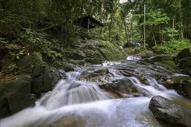 Check spelling or type a new query. Mountain River At Malaysia Selangor State Semenyih Sungai Tekala Recreational Forest Beauty In Nature Nature Stock Photo 194911372