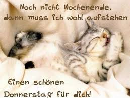 Aus diesem grund sind glückwünsche mit einem schönen motiv sicher die beliebteste art und weise, jemanden alles gute zu wünschen. Schonen Donnerstag Bilder Kostenlos Memesbams Com