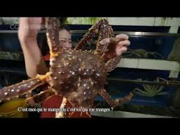 Fruits De Mer Et Crustaces De Chine Youtube